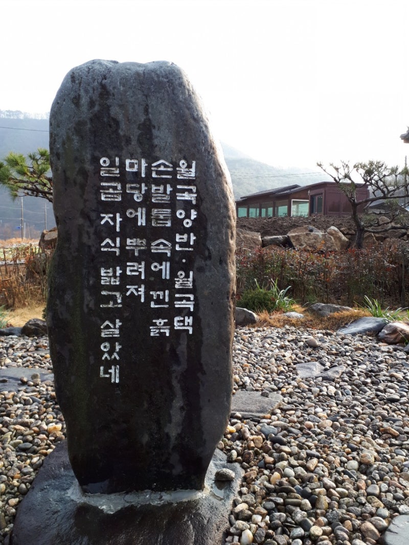 (여행) 섬진강 시인 김용택 생가
