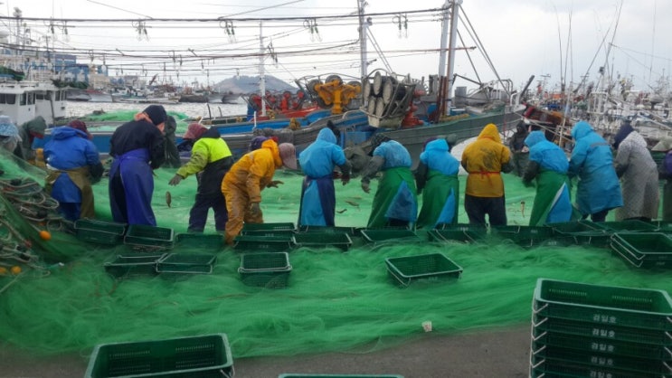  [제주올레14코스] 저지리에서 한림항까지