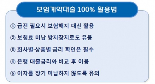 금융감독원이 조언하는 '보험계약대출 100% 활용법' 다섯가지 금융감독원이 조언하는 '보험계약대출 100% 활용법' 다섯가지