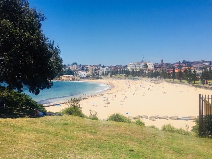  더닝햄 파크(Dunningham Park)&쿠지 비치(Coogee Beach)