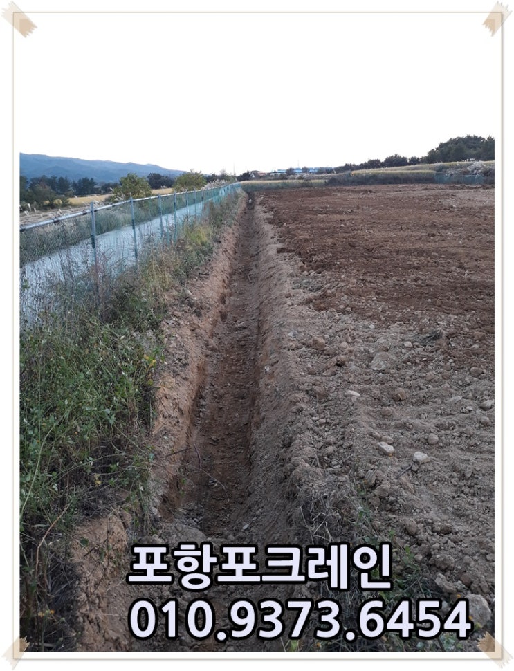 포항시 신광면 과수원 만들기