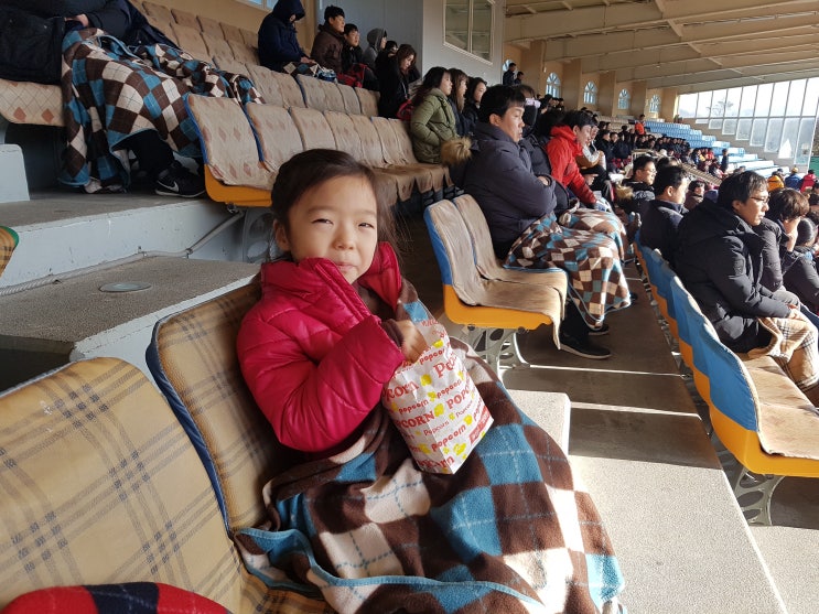 제주공연장관광지 더마파크와 점보빌리지 관람후기 제주공연장관광지 더마파크와 점보빌리지 관람후기