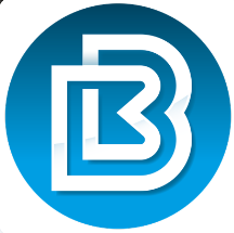  비트베이코인(BAY) 전망, 특징