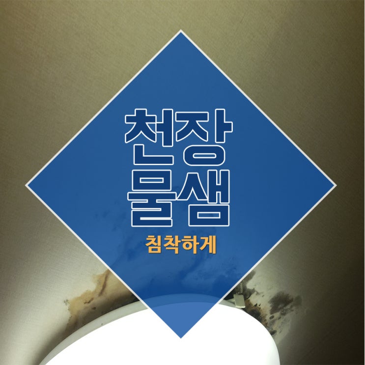  천장물샘 침착하게