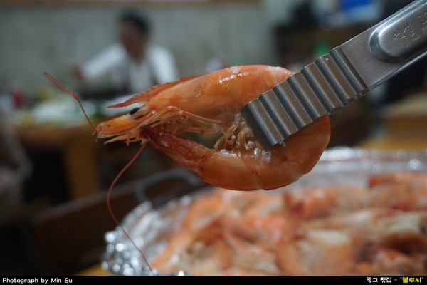  광교 횟집, 새우구이와 물회가 맛있는 법조로 맛집 - 블루씨