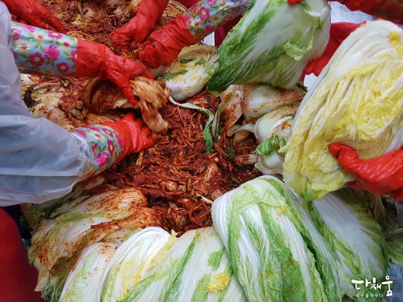 대구 겨울김장 :: 마음을 따뜻하게 만들어주는 김치! 대구·경북 사회적기업 사랑나눔 김장행사 & 국립대구과학관 내 김치 - 포항 ...