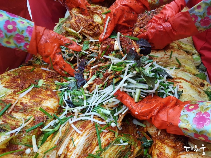 대구 겨울김장 :: 마음을 따뜻하게 만들어주는 김치! 대구·경북 사회적기업 사랑나눔 김장행사 & 국립대구과학관 내 김치 - 포항 ...