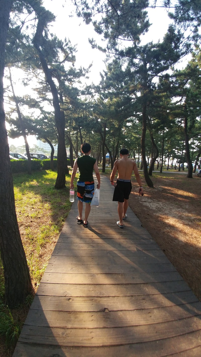 스트라티스 전망 급등 한번쯤 오지 않을까 : 네이버 블로그