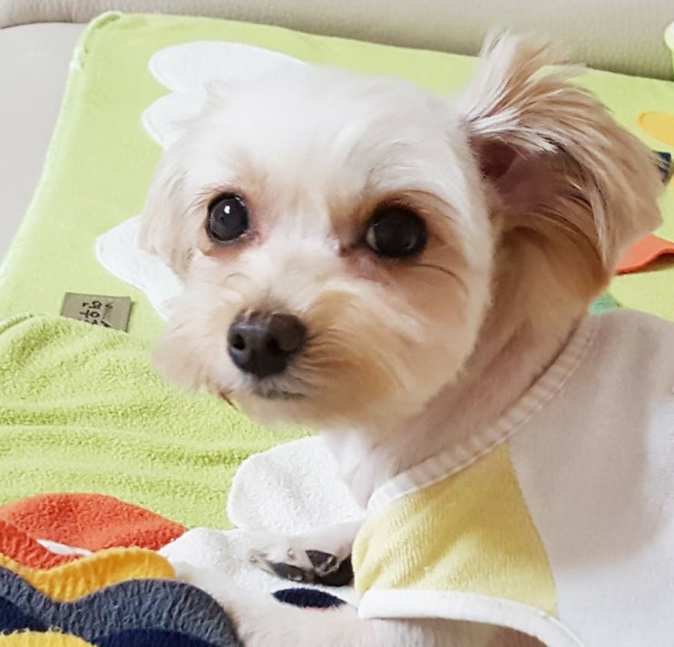  석별, 보내는 이마음도 떠나는 그마음도