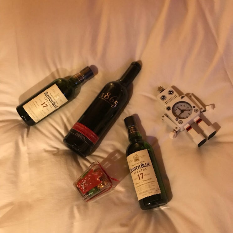  대구근교 성주 북유럽풍 시실리펜션&카페