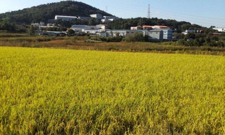  땅(토지), 타의로 수용시 적정가격 보상 받으셨습니까?