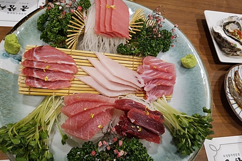 금참치 이미지