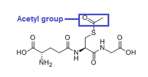  아세틸 글루타치온 (S-Acetyl L-Glutathione)