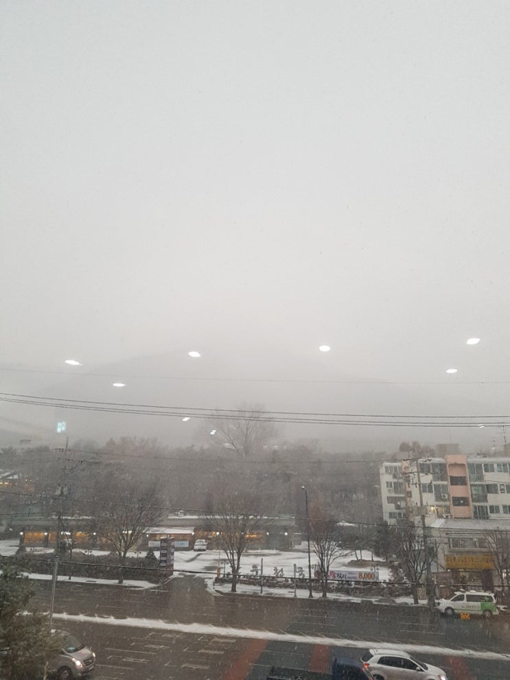  눈이 엄청오네...집가긴 글렀다.ㅜㅜ