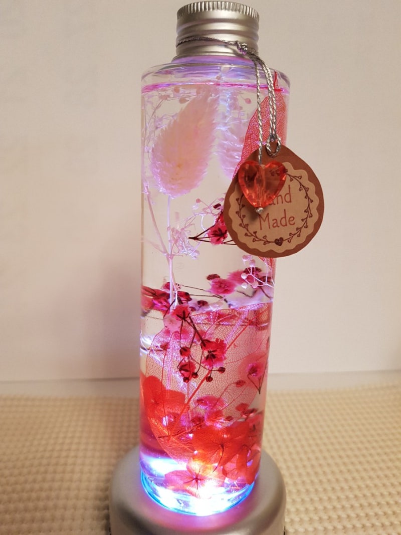 하바플라리움2 : 네이버 블로그