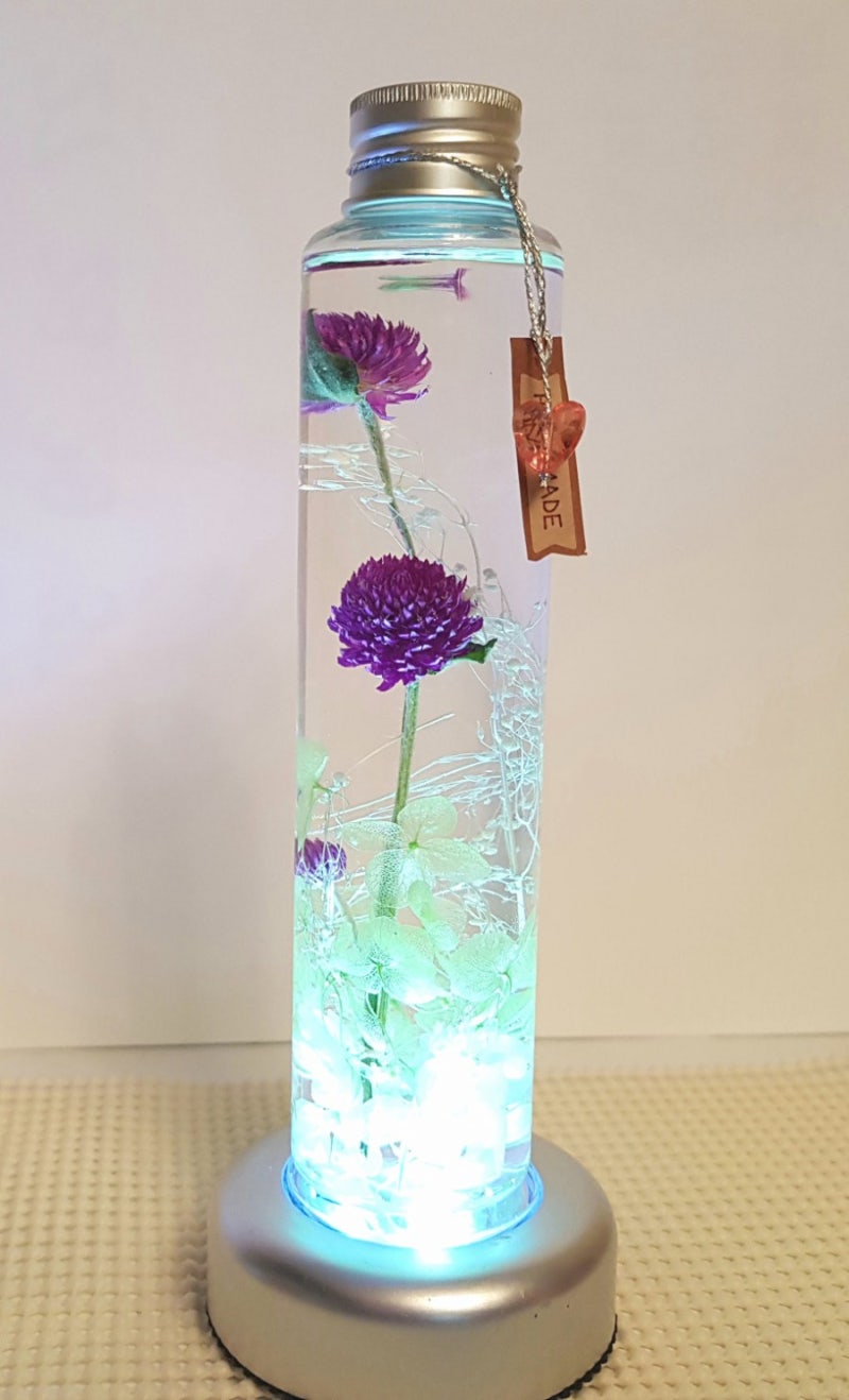 하바플라리움2 : 네이버 블로그