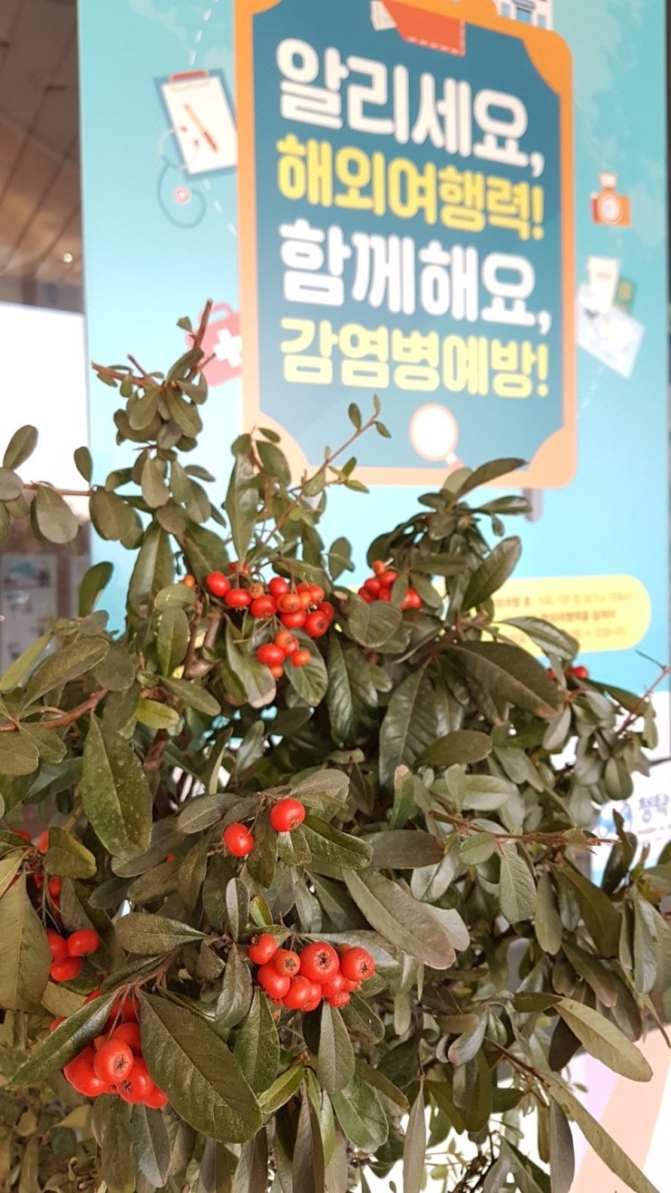 평택보건소에서는 인바디검사를 매주 수요일에 해줍니다.