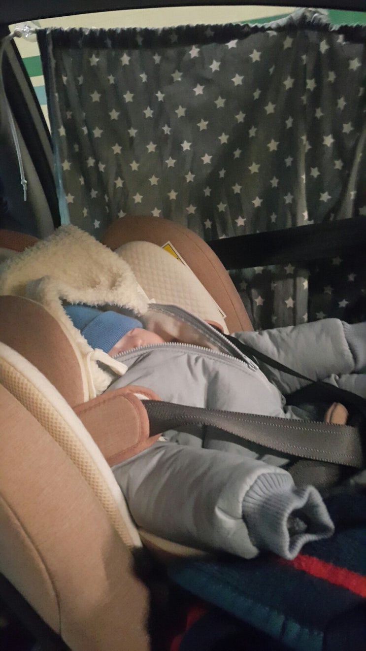 생후 81일:) 생에 첨으로 장거리 이동하다.