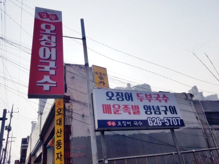 대전 성남동 맛집 경동 오징어국수 두부오징어두루치기 맛집