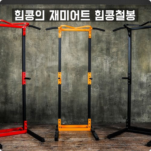 힘콩철봉 :: 힘콩의 재미어트 치닝디핑 가정용철봉