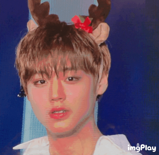 [171224_워너원 박지훈] 6th 부산 막콘 워너원 프리미엄 팬콘서트 움짤, gif