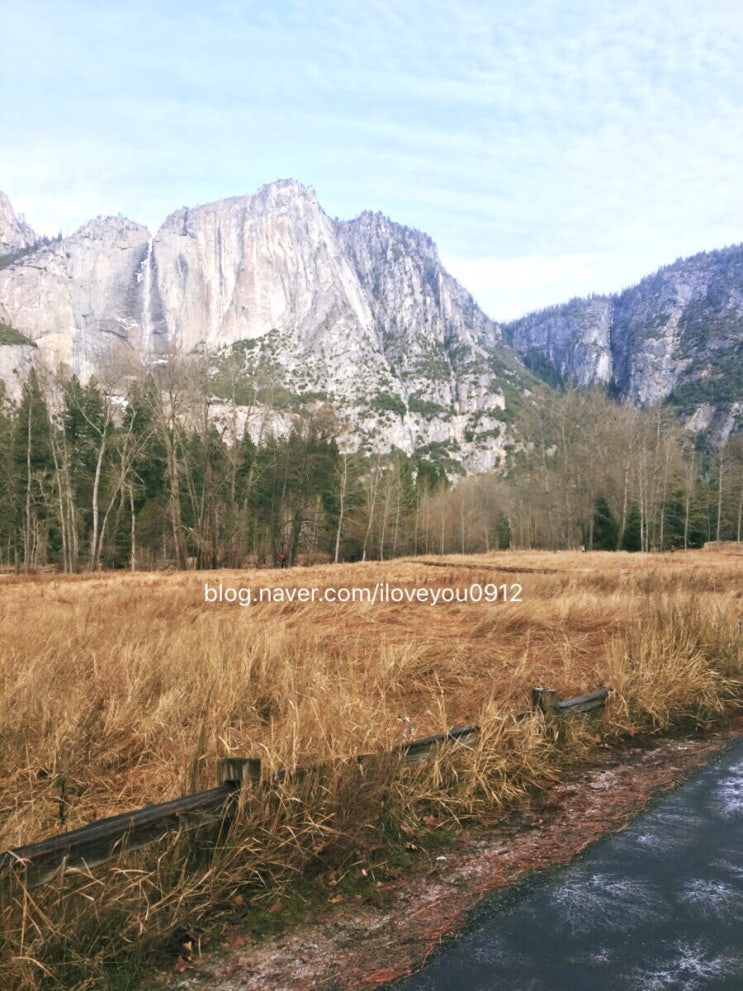 미국 여행 ~ 요세미티국립공원 Yosemite National Park 1