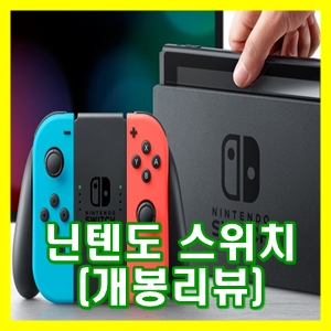  닌텐도 스위치 실물 후기
