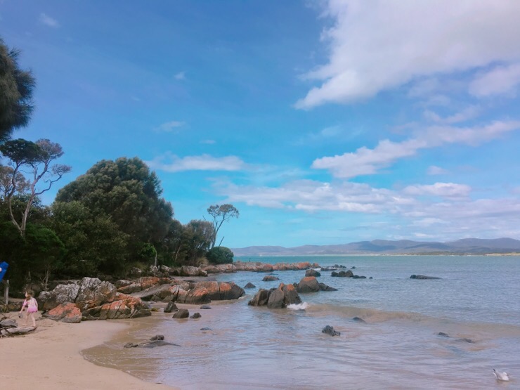  + 타즈마니아 여행 < Hawley beach, 홀리비치 >