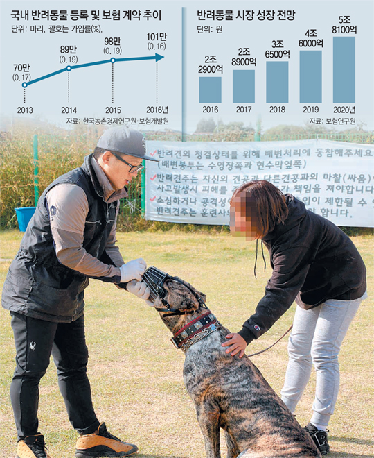 펫보험, 든든해요 펫보험, 든든해요
