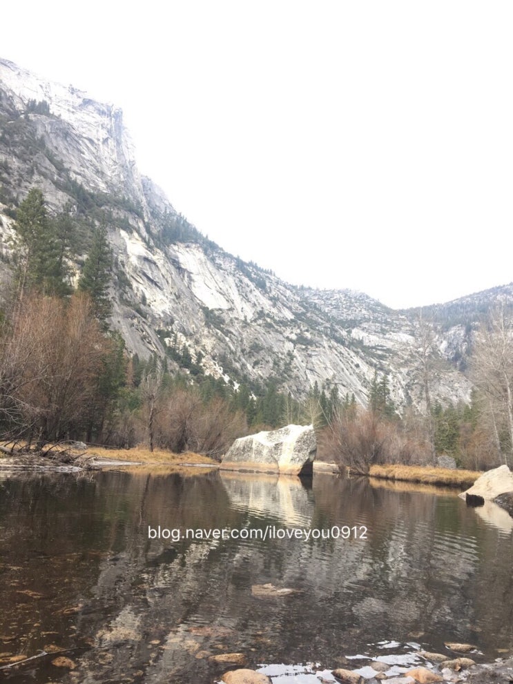 미국 여행 ~ 요세미티국립공원 Yosemite National Park 2