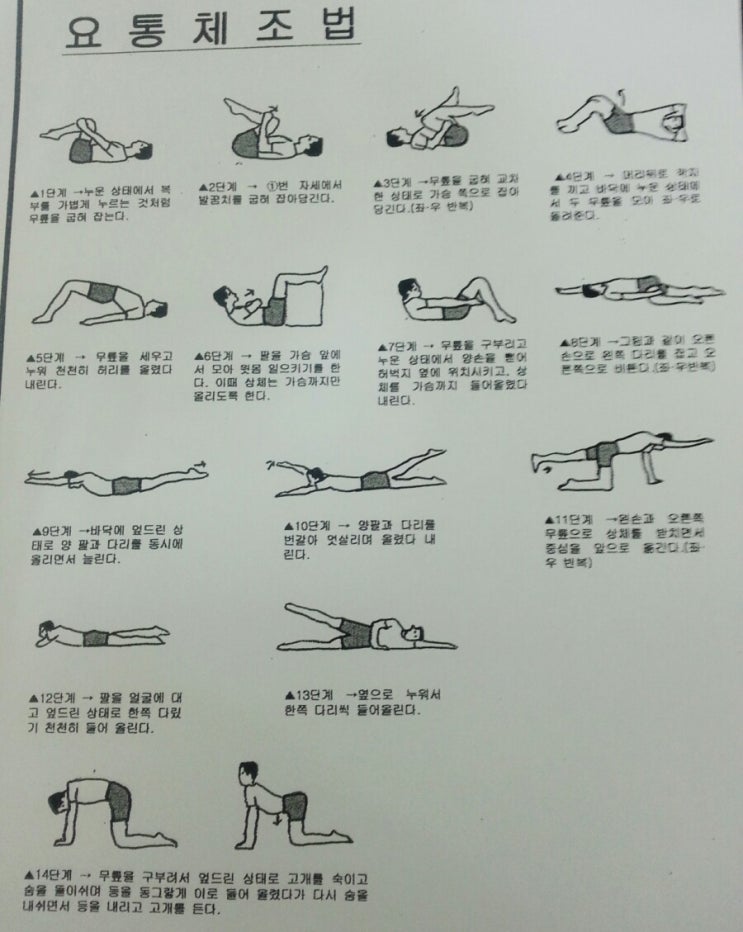  허리 운동치료:)