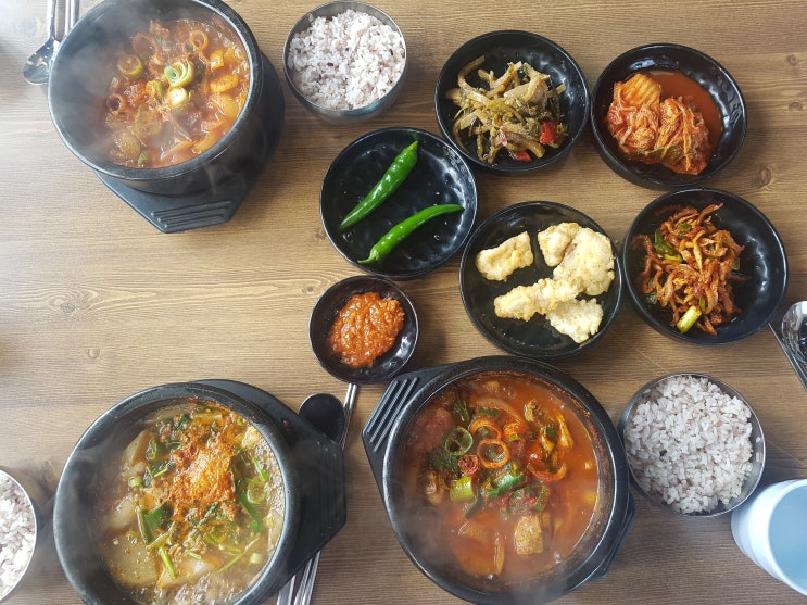 아라동맛집추천 찌개가 맛있는 고추식당