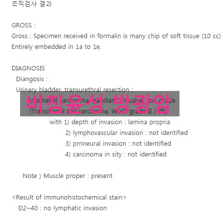  [물음] 방광암 C67진단비 20%지급문제 상피내암(D09)취급?