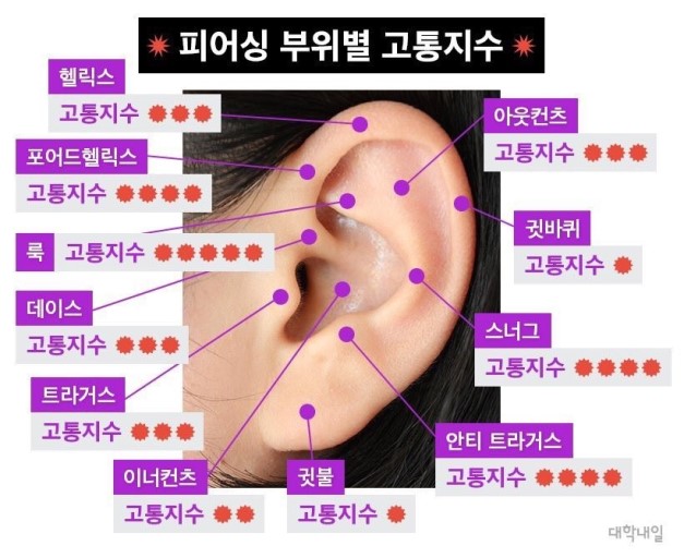  피어싱 고통지수/아웃컨츠피어싱후기/이너컨츠 피어싱후기/귓바퀴 피어싱 후기