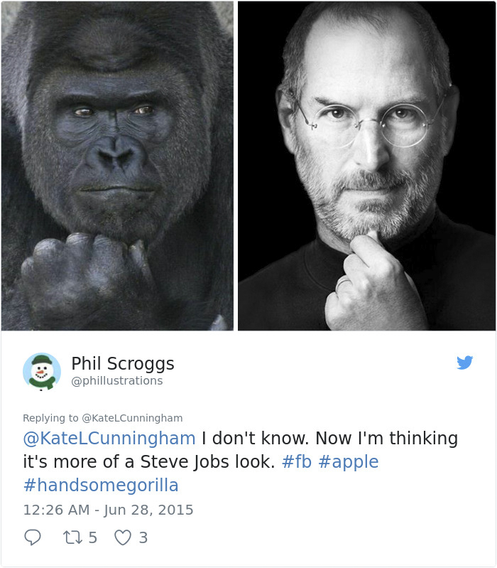 122fhandsome-gorilla-shabani-5a43758104b7a__700_by_ImageRaker.jpg?type=w2