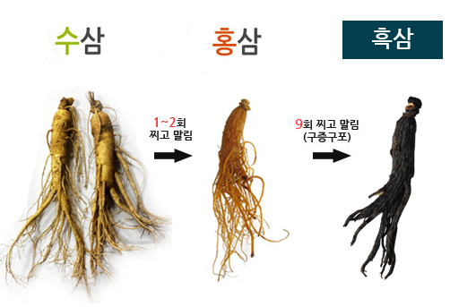 흑삼추출물은 겨울철 면역력에 탁월