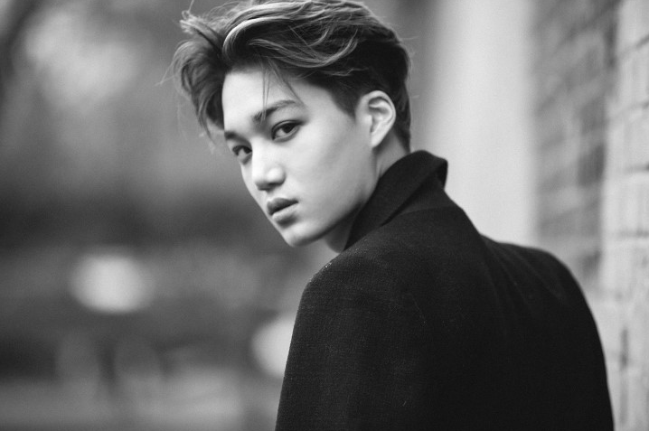 엑소 카이 사주 / 경금의 금수상관, 청아한 달빛