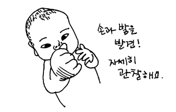 아기 눈 시각 발달과정 아기 눈 시각 발달과정