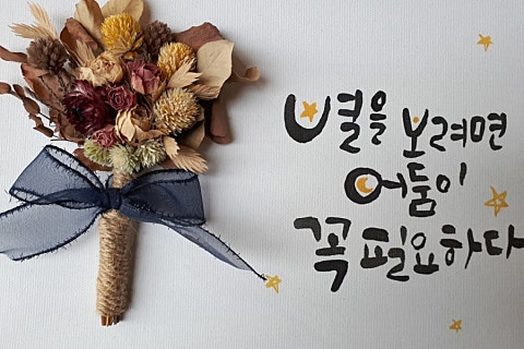 라이프소스 이미지