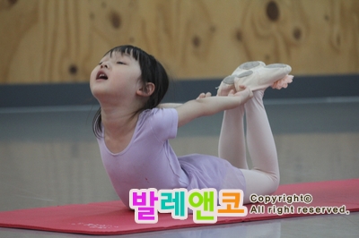  [노원 강북 도봉] 유아발레 오픈 클래스 사진 촬영