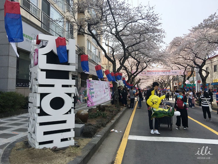  지금 제주는 벚꽃천지 : 전농로 & 제주대학교