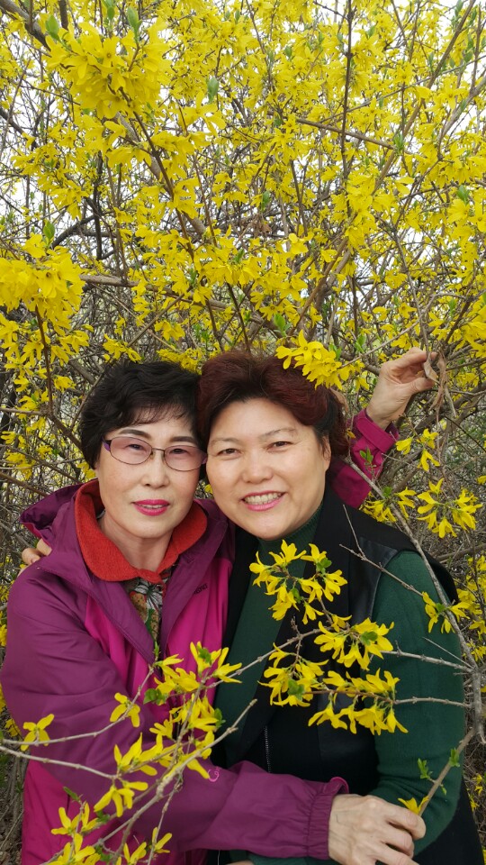 벗꽃길을 걷다 벗꽃길을 걷다