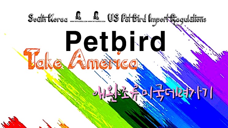  한국->미국으로 펫버드(petbird) 애완조류/애완새/앵무새 입국 규정 입국방법? 데려가기 = 매우까다롭다