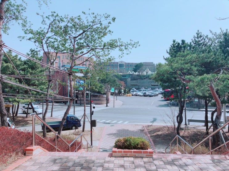  20살's daily :: 저의 모교, 안산동산고에 다녀왔습니다.