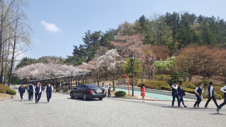  학교 교정에서ᆢ