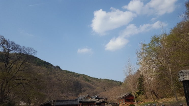  운곡서원에서 차한잔~~