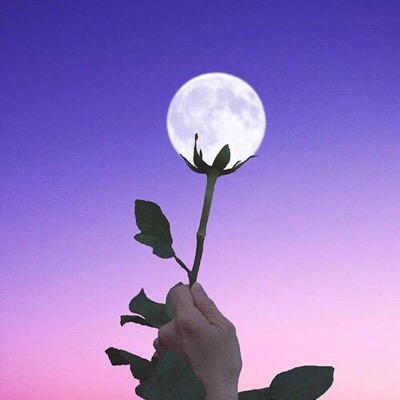  많이 보고 싶겠지만 조금만 참자