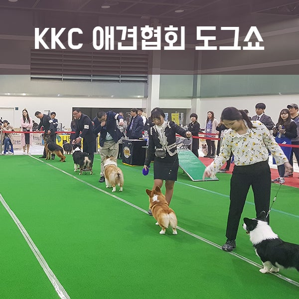 사진 2