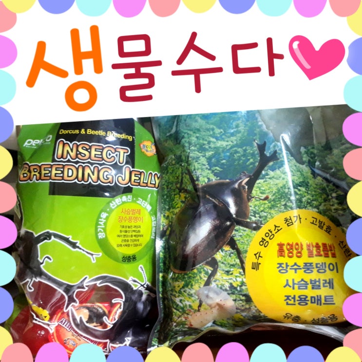  생물 수다 - 넓선생과 장지뱀