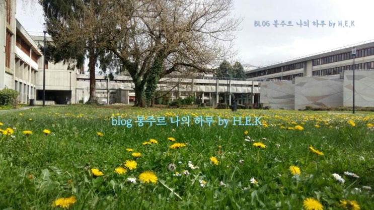  <4/3 스물 여섯 번째 이야기> 반 배정 전 B1.7 마지막 수업, 봄의 증거, 맛있는 저녁 식사와 후식, 여행 이야기, 해리포터 반 배정
